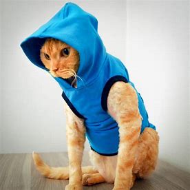 Cat Hoodie