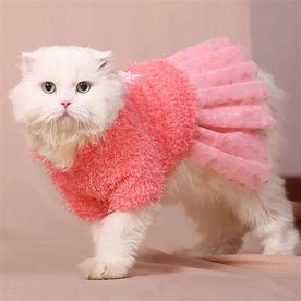 Cat Tutu